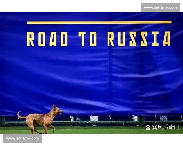 法甲焦点战尼斯vs南特强强对话谁能笑到最后赛前前瞻与关键看点解析