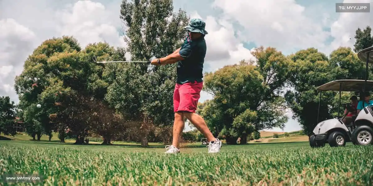 为什么选择我们